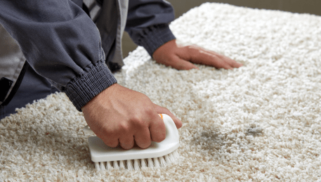 Professional Rug Cleaning Bonbeach