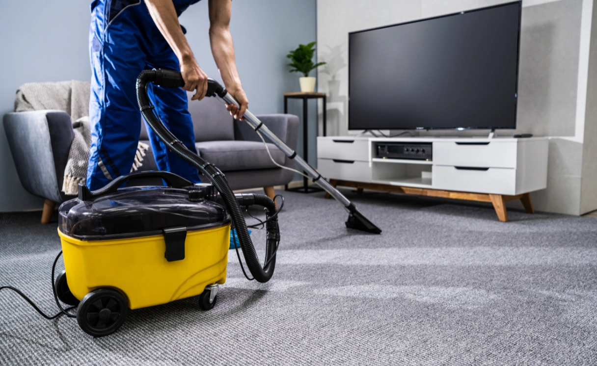 Extract Rug Cleaning Bonbeach Contact Office